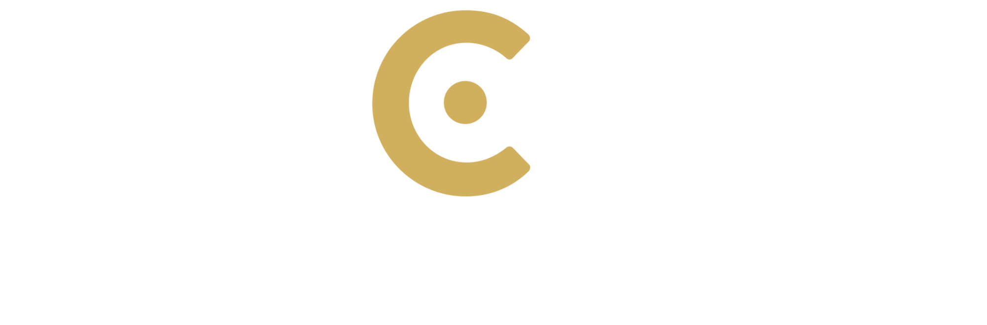 Ebike Center logo footer