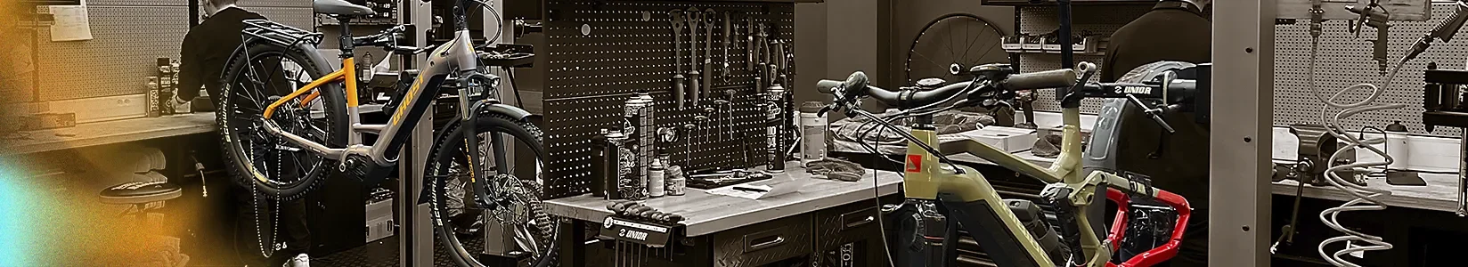 Sykkelservice - Ebike Center